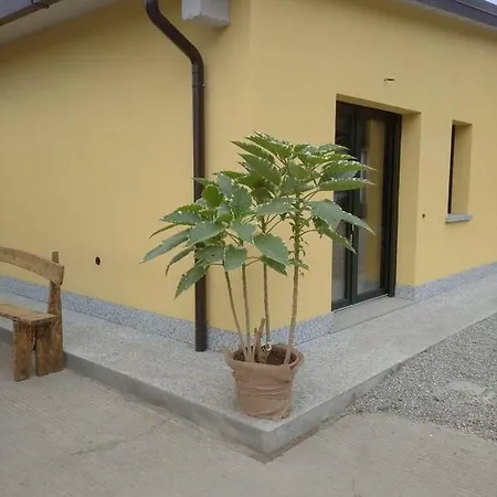 Azienda Agrituristica Scotti Сомма-Ломбардо