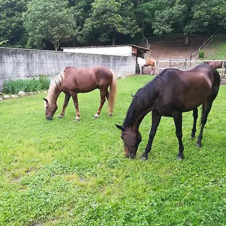 Azienda Agrituristica Scotti Сомма-Ломбардо