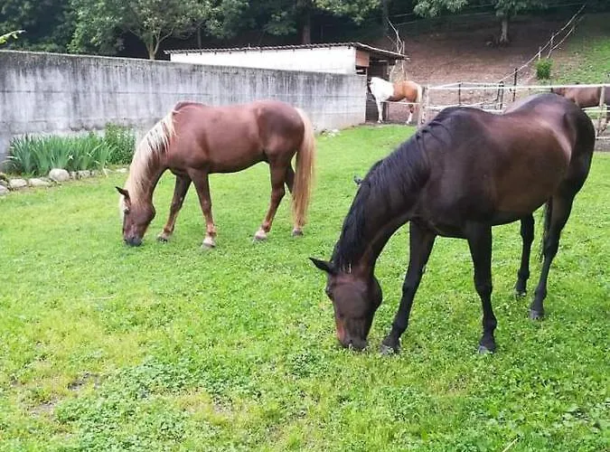 Azienda Agrituristica Scotti Somma Lombardo